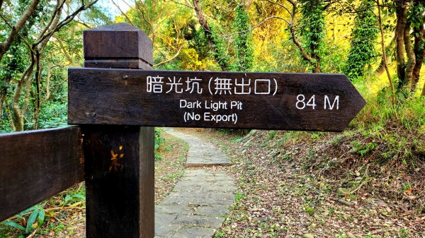 四獸山大縱走，虎山，豹山，獅山，象山，林口太平濱海步道，桃園龜山（貴山，龜山頭山），老坑溪步道1964732