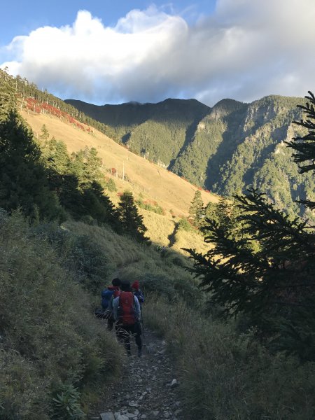 雪山 不下雪532983