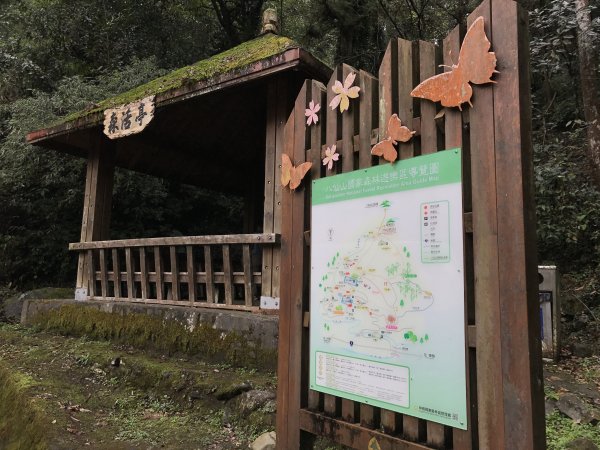 八仙山國家森林遊樂區步道201703061961686