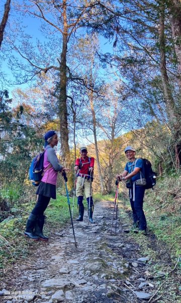 大同加羅湖穆魯洛亞滬庫霞四季警備道2748290