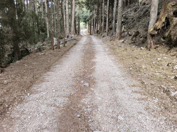 20260215台中南投裡冷尾敏山，又稱王辨山3000572