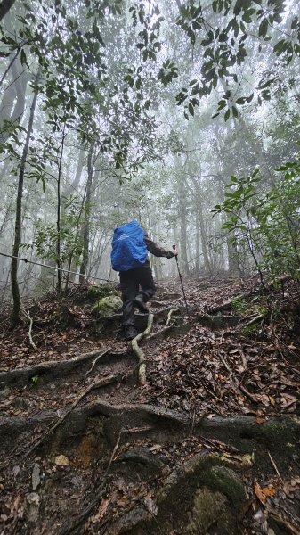 【這樣走波津加也行！】大雪山下波津加進谷關。3025910