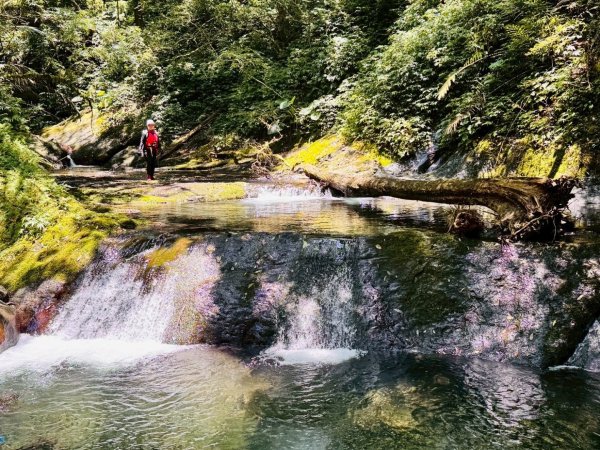 坪林-碧湖溪-蛋糕瀑布群（溯溪）2820886