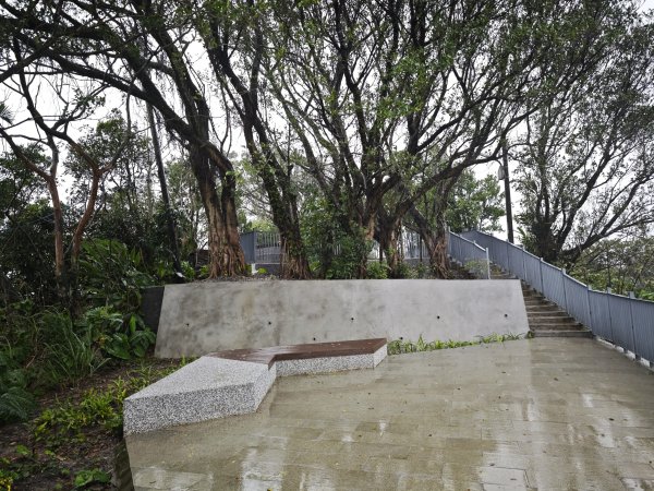 2026_0131 獅球嶺北峰2997788