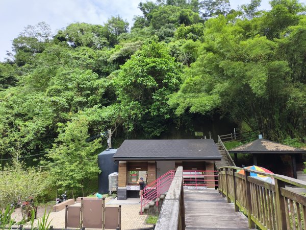 [百山百鳥尋旅-08/15] 2025_0831 大坑1號步道2876175