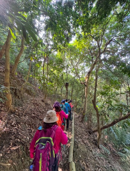 烏山嶺水利古道順走竹高崙山3連峰2670094