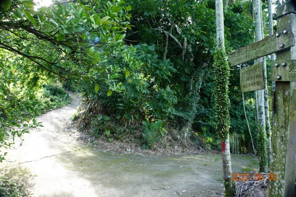 嘉義 梅山 觀音山1729870