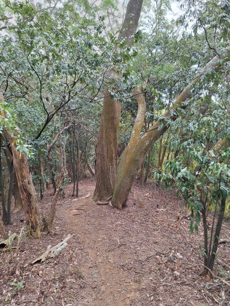 三段崎古道202401222696406