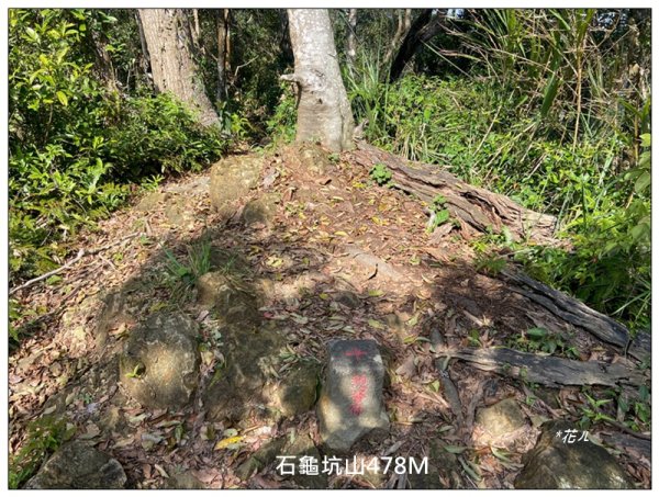 草嶺山、白石山、頭寮山 六連峰 O型路線2798646