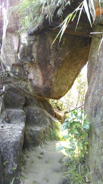 孝子山-慈母峰-普陀山 105.7.2754590