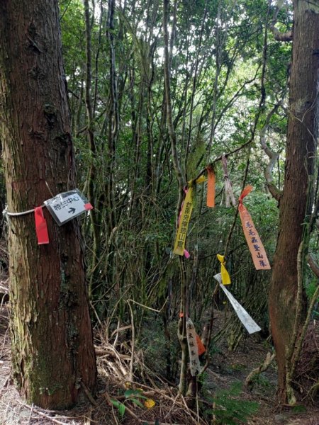 🥵20231107南一段會繞過🤷忘記的溪南山2340107