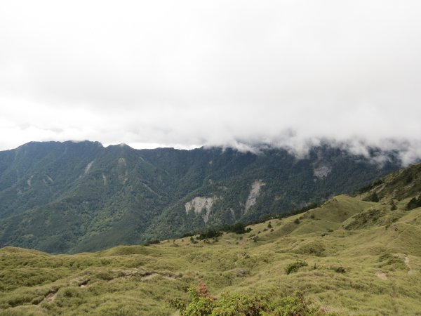 合歡山東峰-尖山-小奇萊-石門山2513141