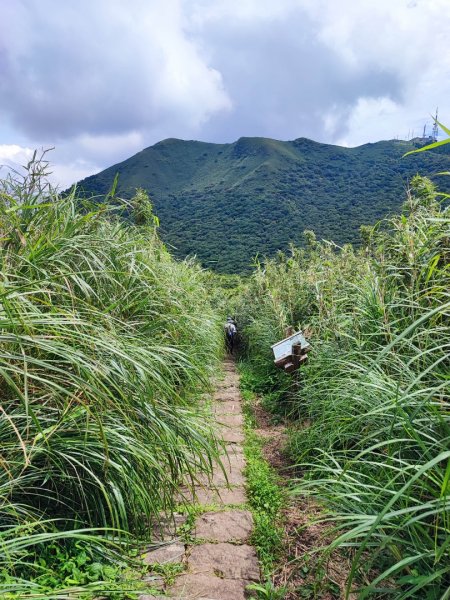 大屯群峰步道 - 走遍陽明山尋寶任務2262033