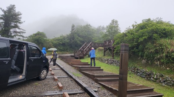 【中級山縱走】觀雪縱走（雪見大板根，仰天神木，北坑山，司馬限林道）2741260