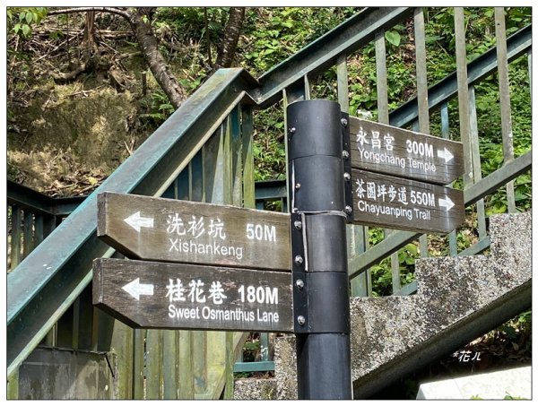 茶園坪山 O型路線2750556