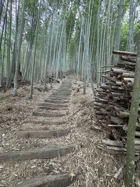 20251221嘉南雲峰、石壁山登山步道2968088