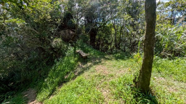 114.06.28內平林山-番子坑山-平湖森林遊樂區之O型2824240