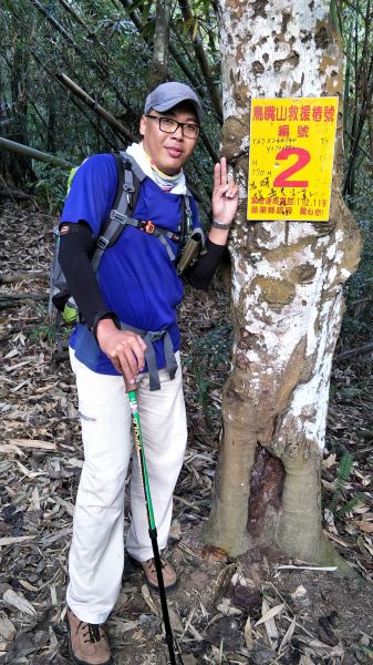 鳥嘴山登山步道(上島山) 苗栗 泰安 2017 11 28215069