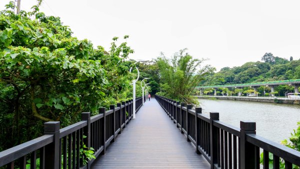 白石湖沒有百合花。晶片關稅2781546