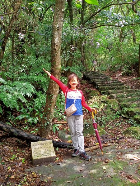 山清水麗的陽明山國家公園 (天母→猴洞→半嶺→湖山→陽峰古道→大屯瀑布→青春嶺→猴崁→竹子湖黑森林)1835227