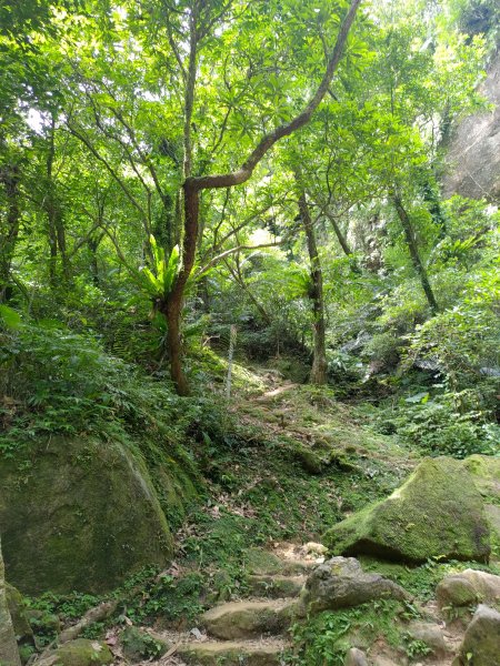 三貂嶺瀑布群步道→大華車站1053240