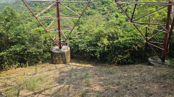 20260409四柑縱走3034431