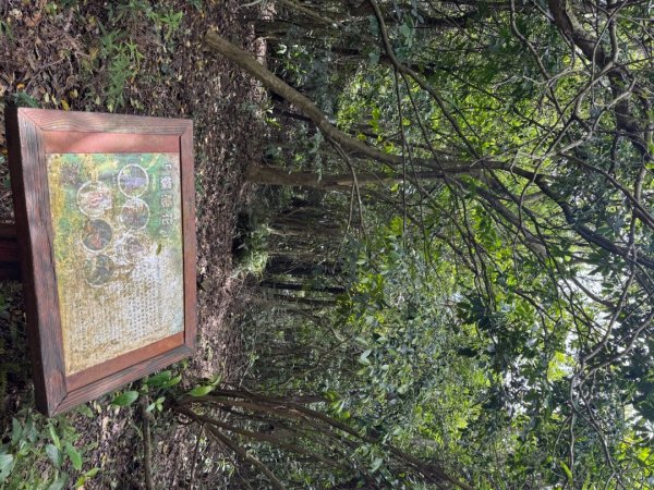 2025/04/13 小百岳第008「大崙頭山」2760261