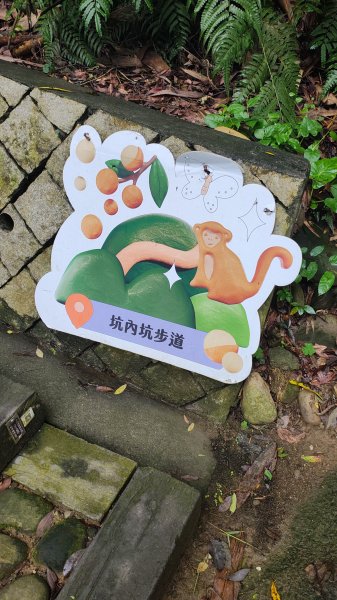 松柏嶺3044304