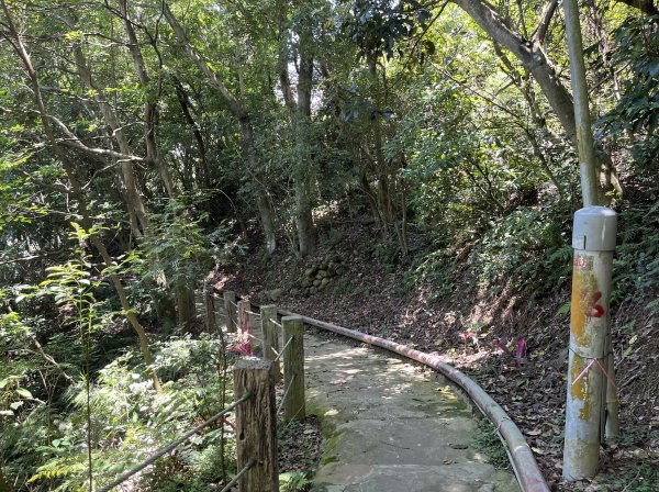 [跟著2025雙北世壯運探索雙北市-7/21] 2025_0615 疾風足球道（輔仁大學－明志路二段2814984