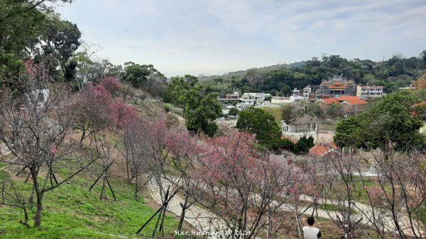 《彰化》花景第一排｜花壇虎山巖後山步道202402242436731