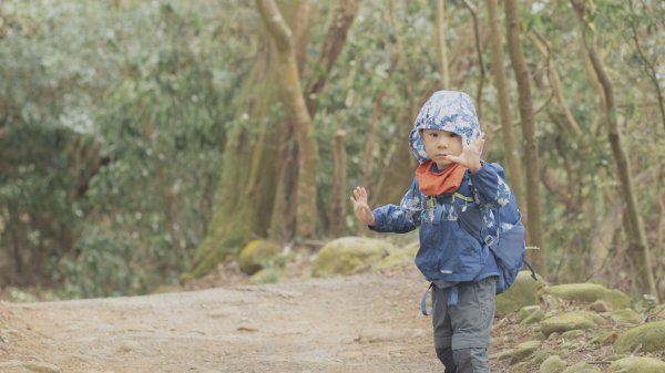 四歲小樂的第26座小百岳-新竹飛鳳山1172106