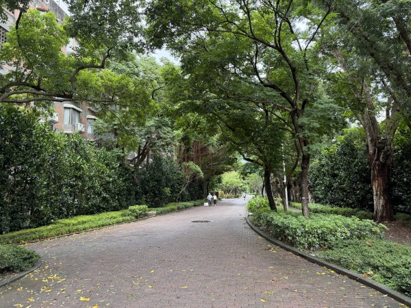 [2026臺北健走趣-11/50] 2026_0808_臺大舟山路3112199