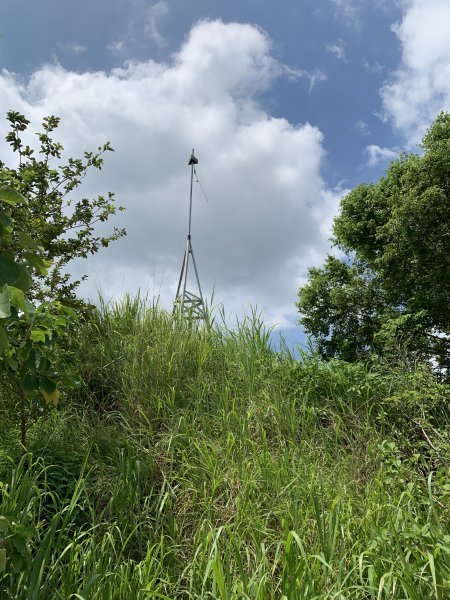 20250830台南牛長山2877113