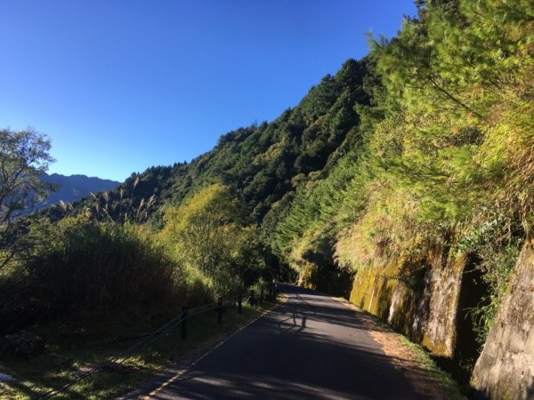 20181021-麟趾山&鹿林山444972