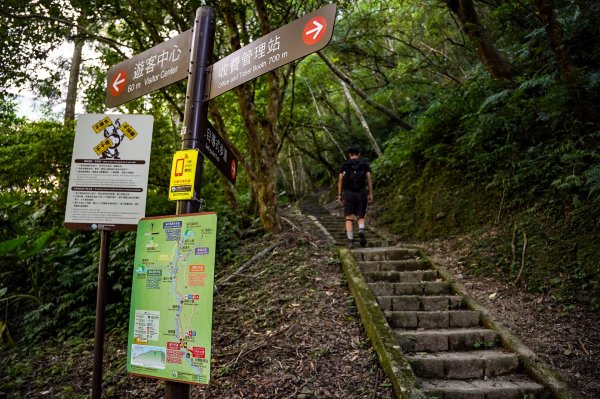 滿月圓森林步道2870079