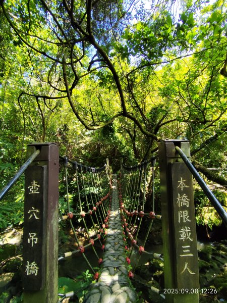【臺北大縱走 7】2-2 指南宮貓空親山步道→壺穴步道→茶展中心步道→大成殿步道→指南宮竹柏參道2881861