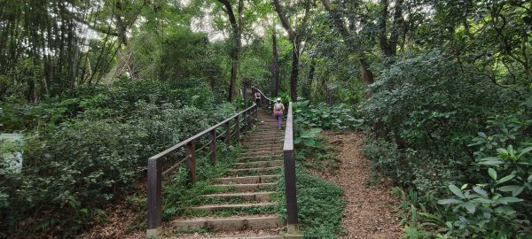 2025/08/03_羊稠森林步道2850658