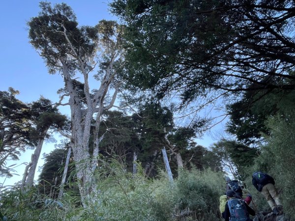 一日南橫二星人品爆發2995778