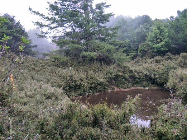 石水山&真鹿林山1429848