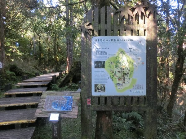 檜木原始林步道672676