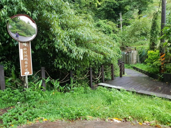 銀河洞步道上貓空1572822