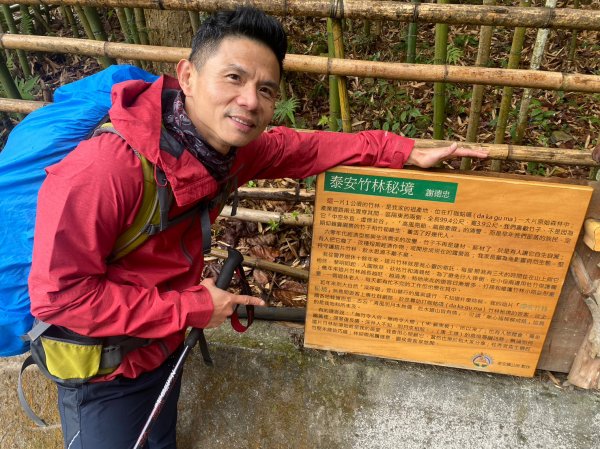 烏嘎彥竹林步道.馬都安古道【因為堅持 所以更顯珍貴】2064484