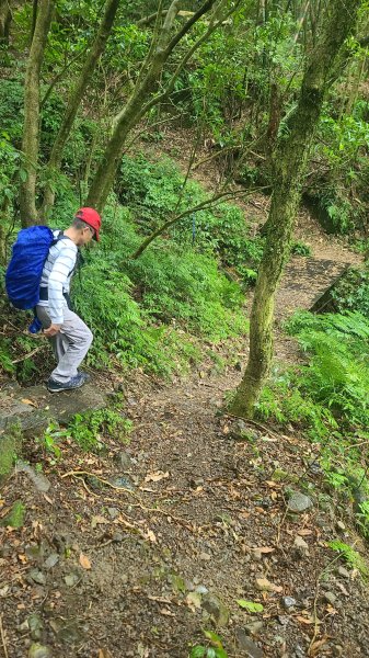 2025-01232淡蘭古道北二段(燦光寮古道到澳底)2696580