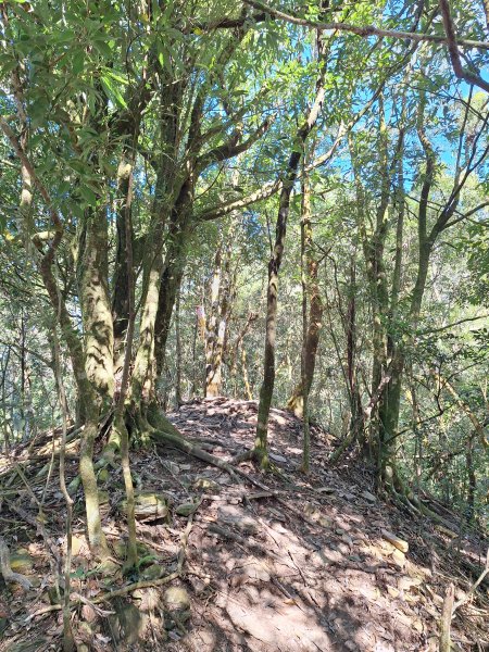 日湯真山202601042978576