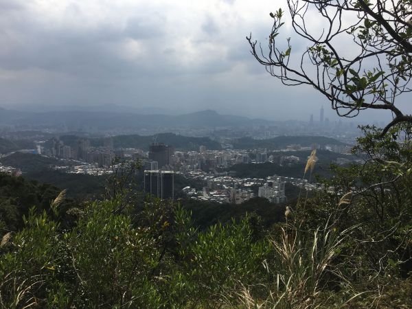 鯉魚山親山步道100344