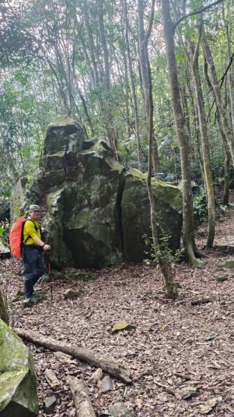 鳥東洗縱走11503213023081