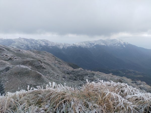 真假！七星山下雪1235072