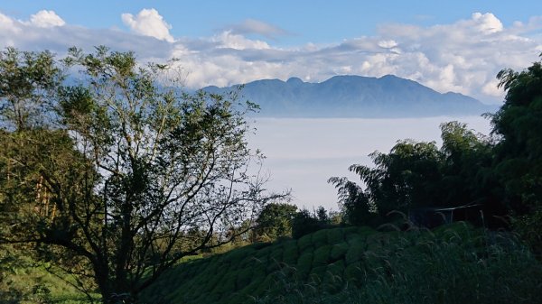 20201108雲嘉五連峰1625531