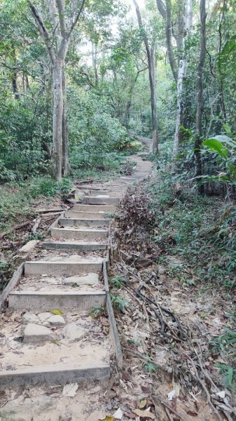 西湖捷運站-金面山-大崙頭山-圓覺-大湖公園捷運站2588691