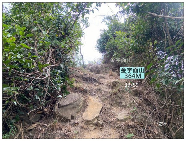 旗靈縱走(旗尾山、福美山、金字面山、人頭山、靈山)2996493